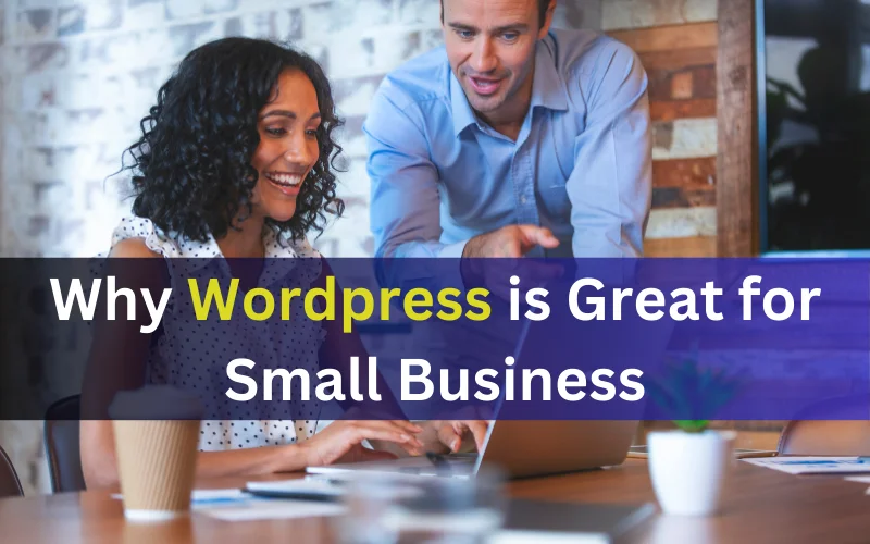 Why WordPress is Great for Small Business